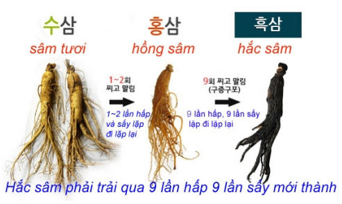 hac-sam-thai-lat-daedong